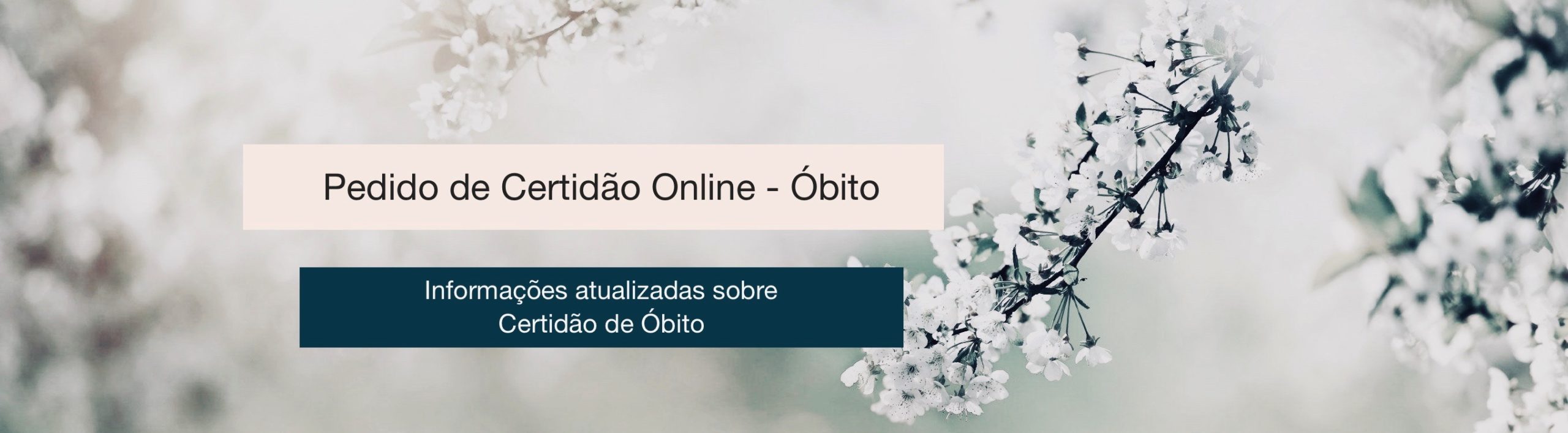 Certidão de óbito online